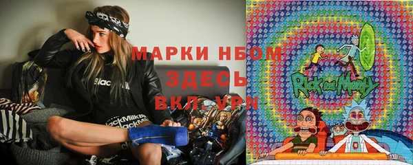 твердый Аркадак