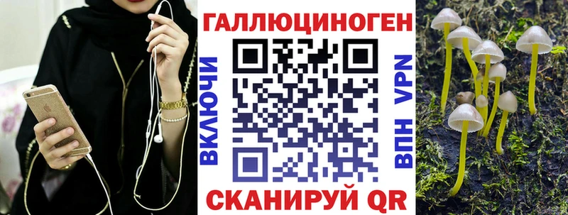 Галлюциногенные грибы Psilocybine cubensis  Луховицы 